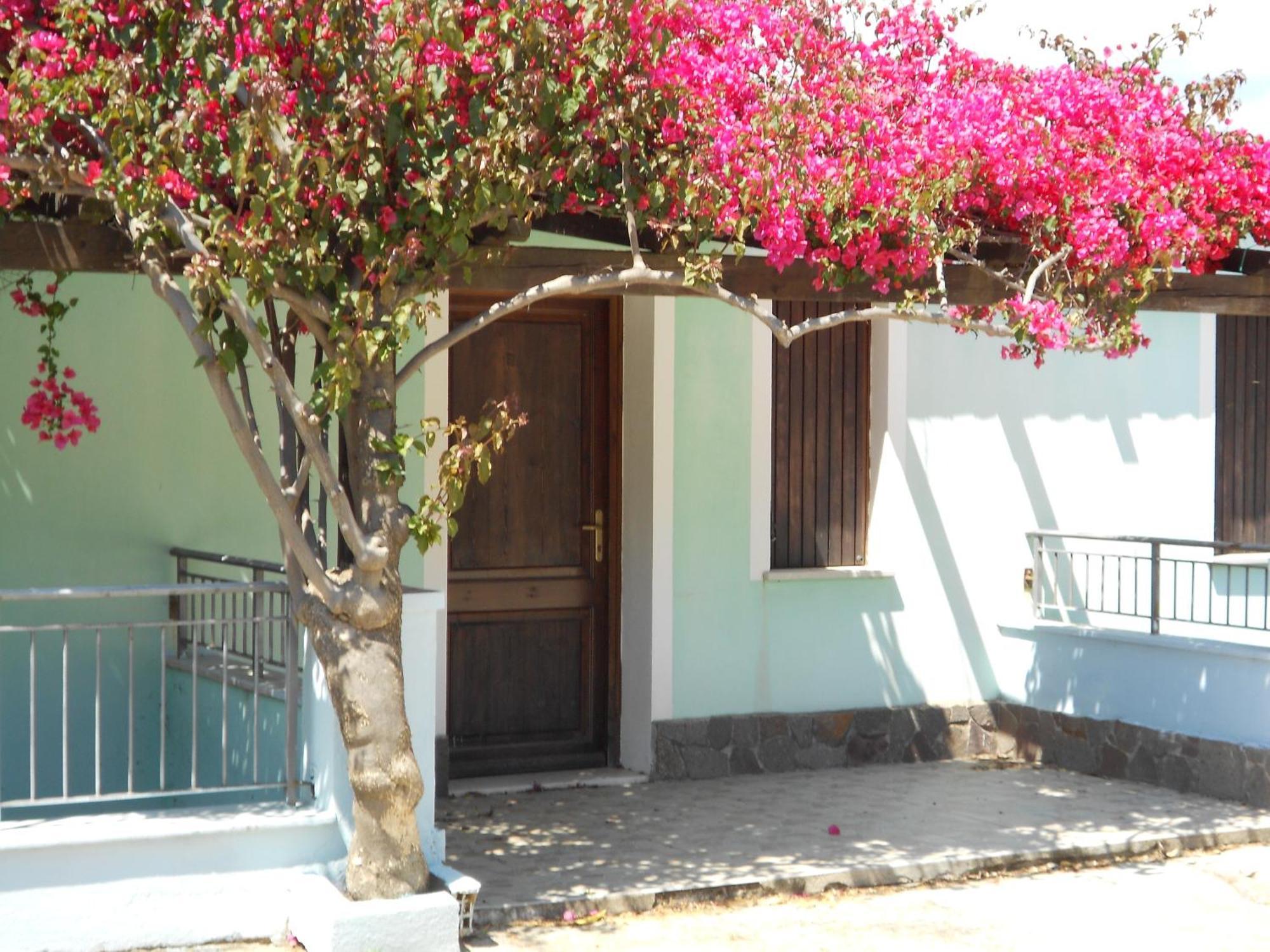 La Corte Degli Ulivi Cardedu Εξωτερικό φωτογραφία