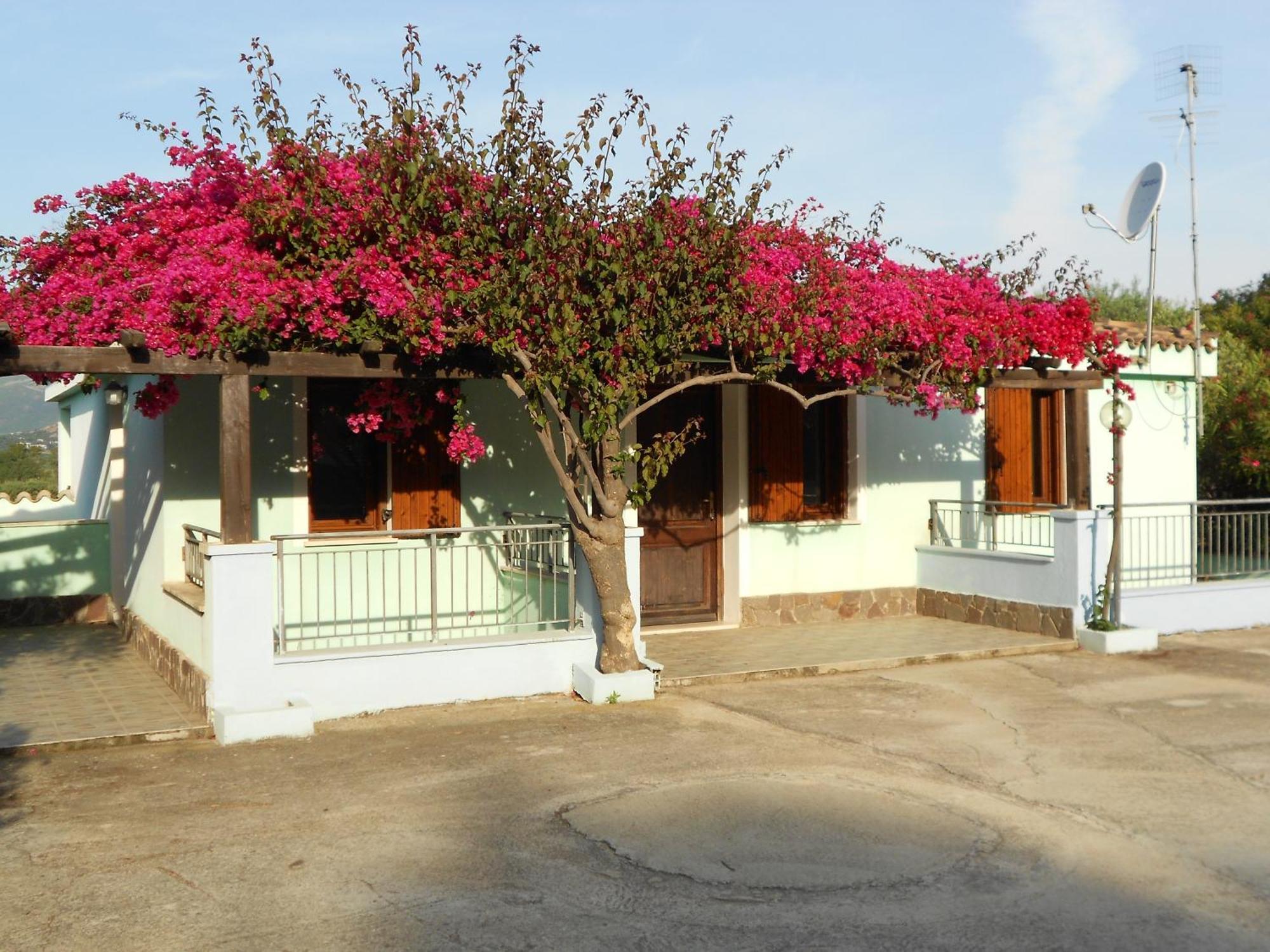 La Corte Degli Ulivi Cardedu Εξωτερικό φωτογραφία